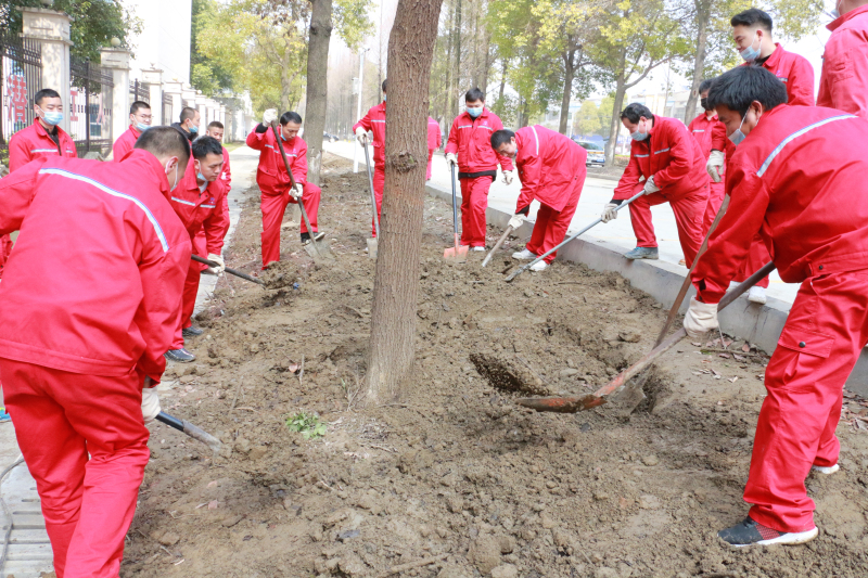 金澳集团团委组织“爱我金澳 维护生态”植树节活动